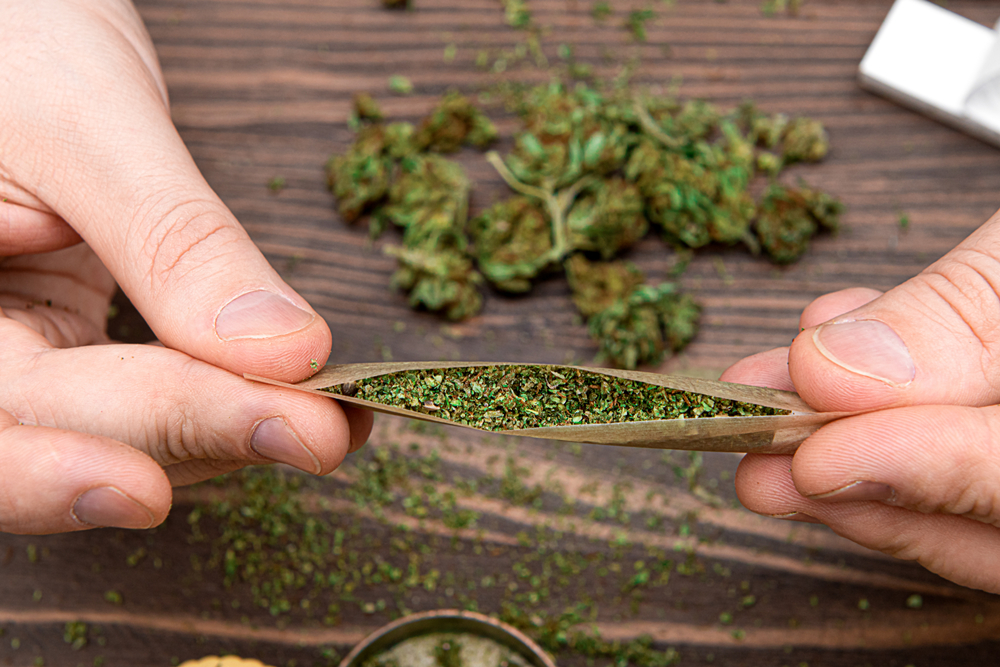Man,Rolling,A,Joint,Closeup.,Male,Hands,Rolling,Spliff,From
