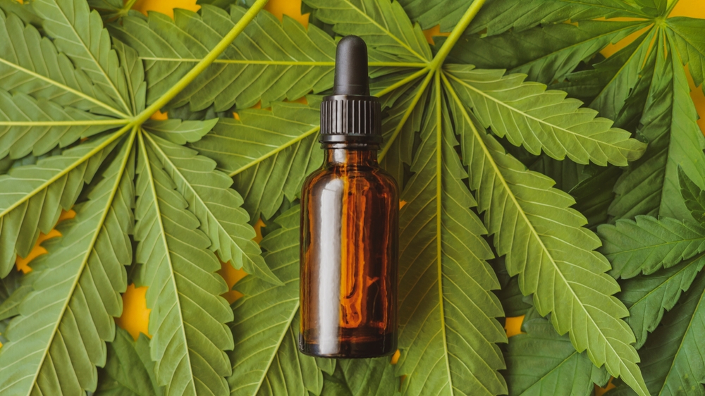 Dosing,Cbd.,Cannabis,Hemp,Cbd,In,Oil,Dropper,Bottle,For