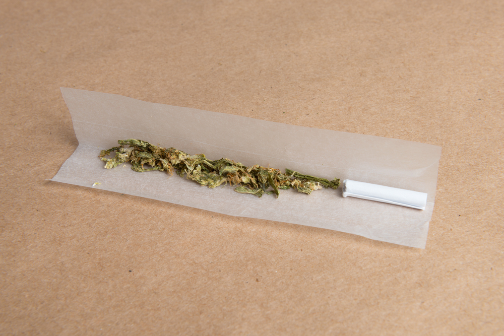 Rolling,Paper,And,Processed,Pot,Ready,To,Be,Rolled,Into