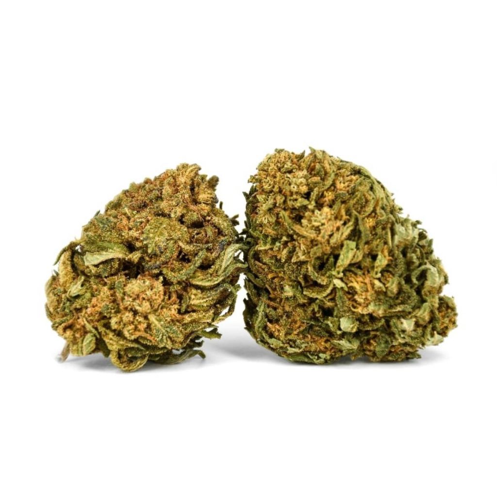 12ce8b5b 77a5 4b20 9f8e dfbd837e8686