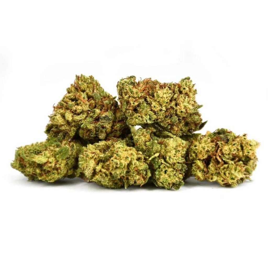 ce18578d 10e8 42e5 adbe e64b954cc34e